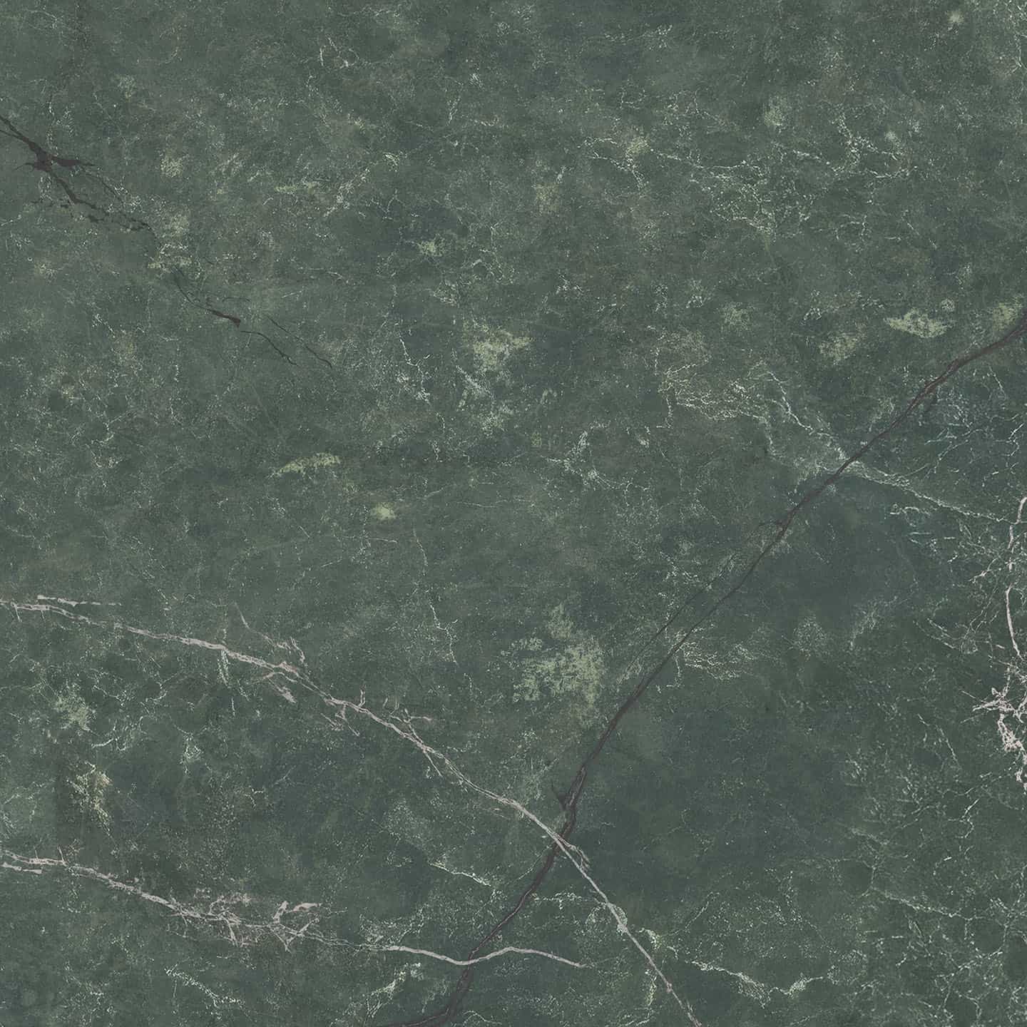 Pavona - 1