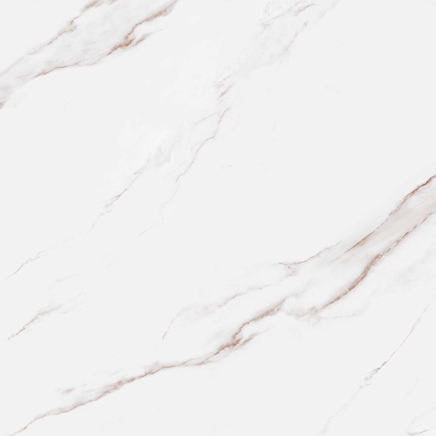 Calacatta Maia Close-up