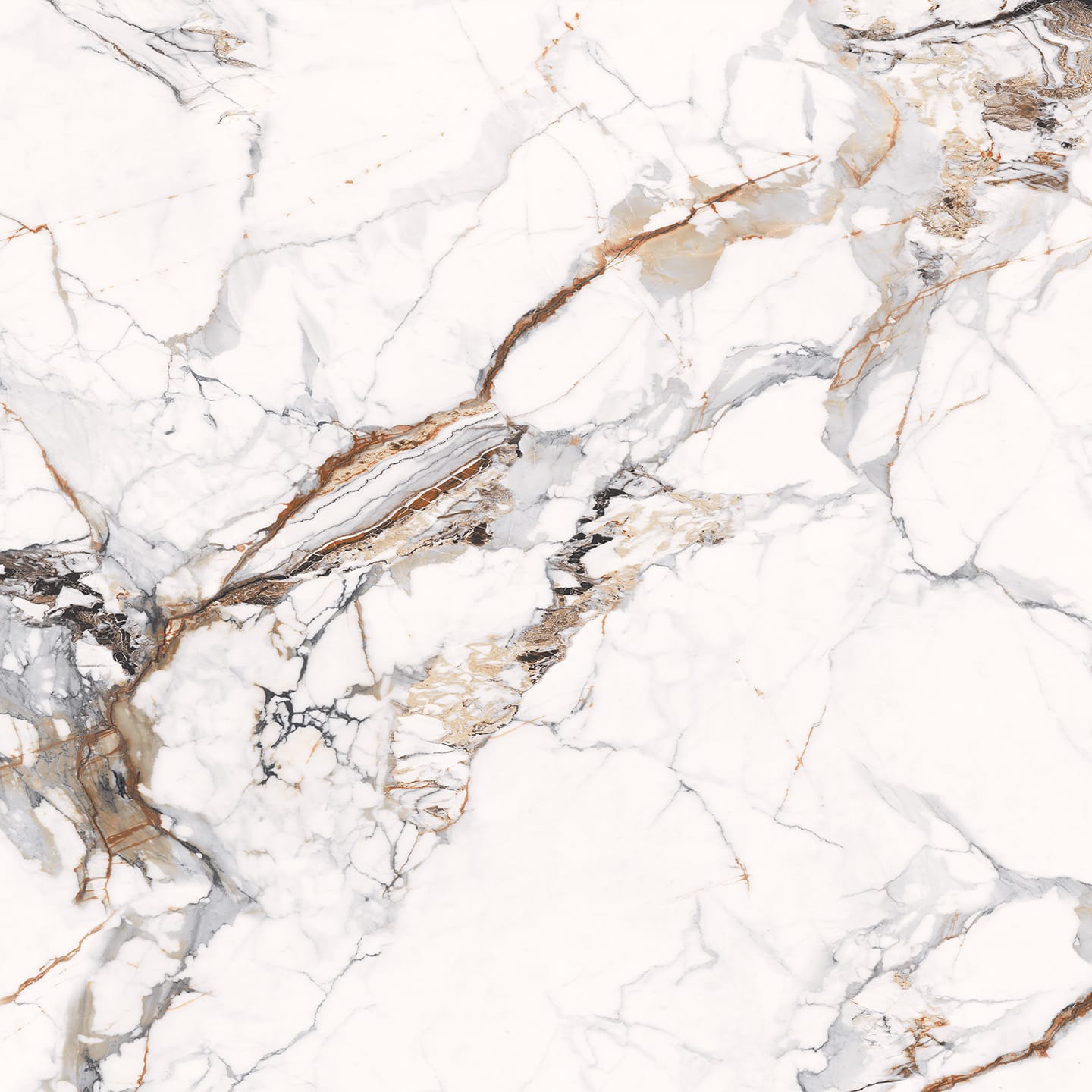 Calacatta Nisus Close-up